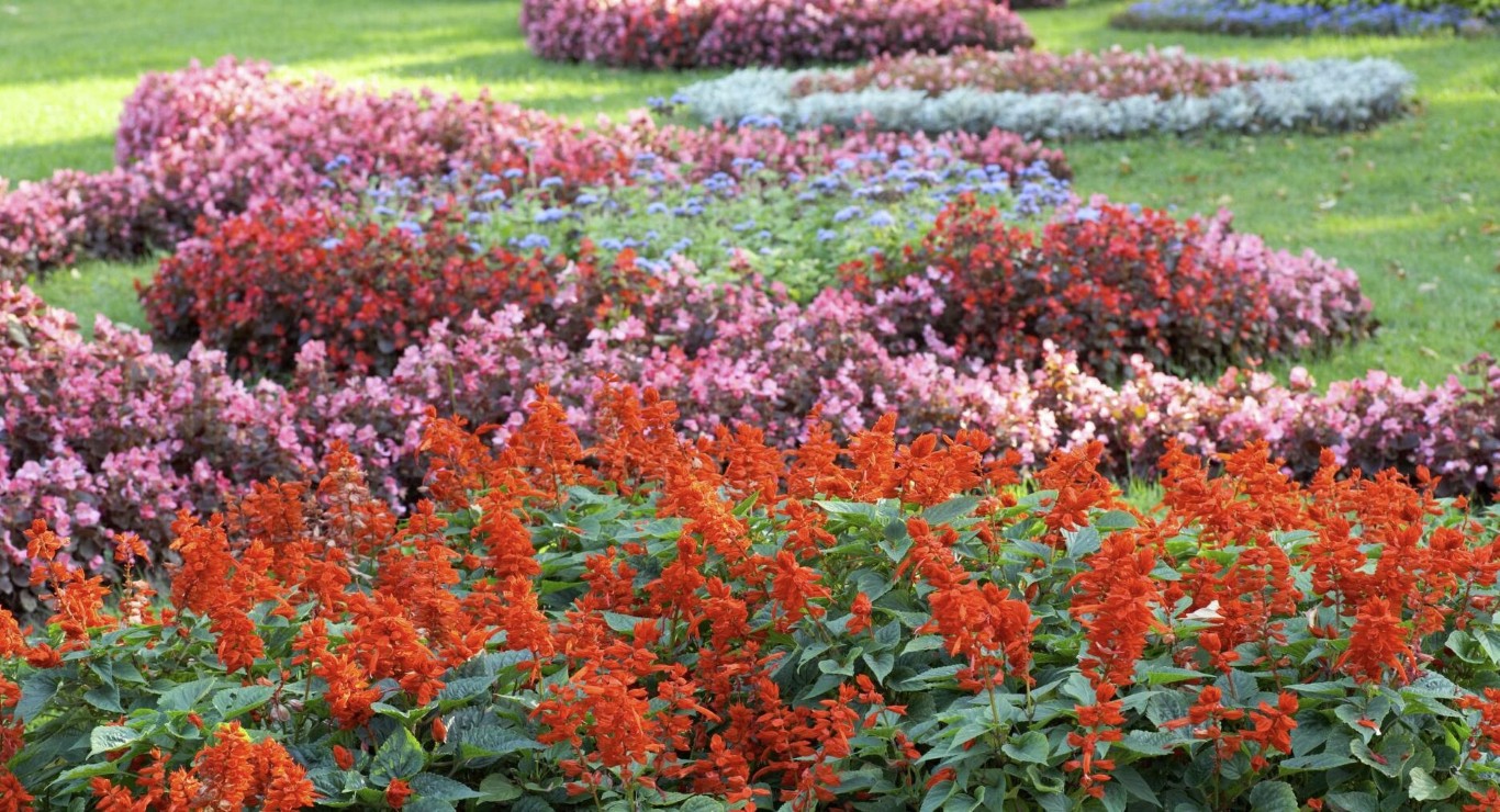 Colorful flower beds and landscape design